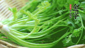 挑選鮮嫩的香菜，洗干凈后，處理成小段。