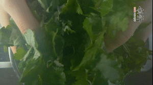 【面皮】1.鍋中水開時，放挑揀好的艾草和一撮小蘇打，第一遍煮開后倒掉，重新加水大火煮開后，小火煮1小時。煮爛的艾草用紗布瀝干。