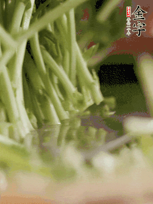 新鮮豌豆苗割下洗凈。